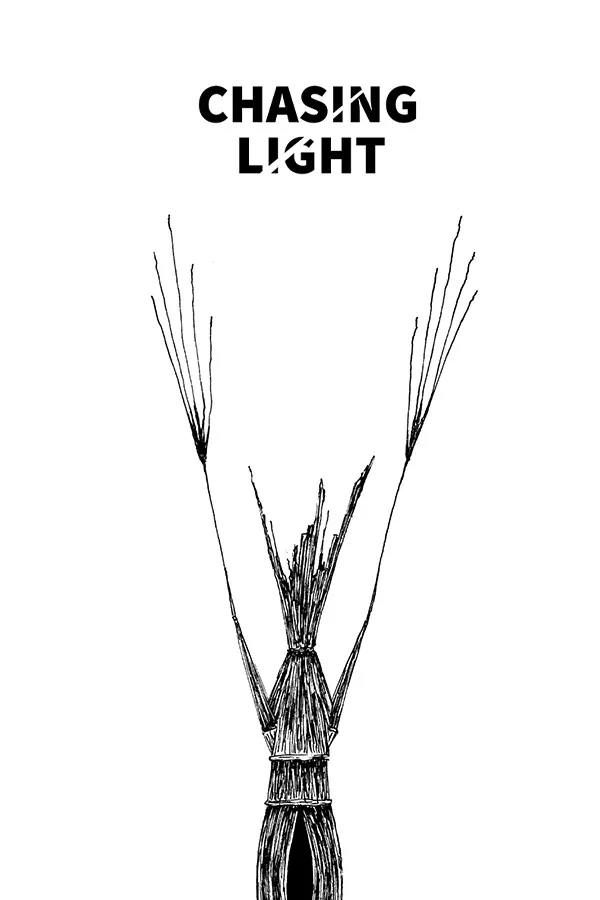 Copertina di Chasing Light