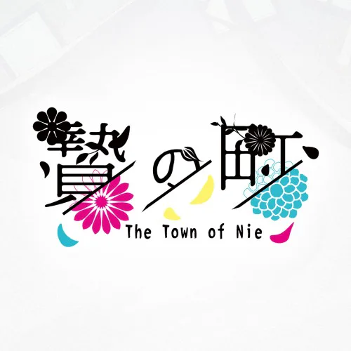 Copertina di The Town of Nie