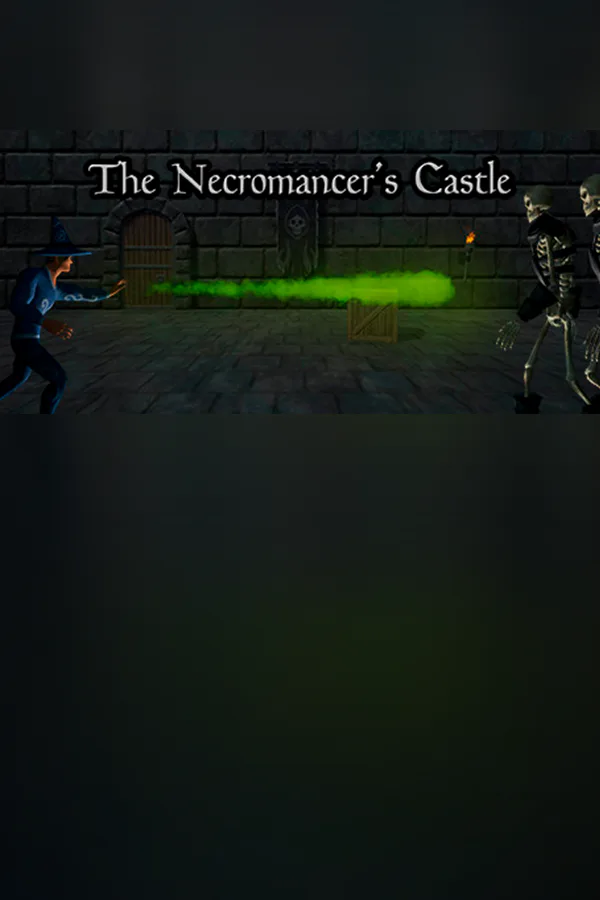 Copertina di The Necromancer's Castle