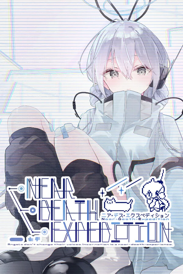 Copertina di Near-Death-Expedition