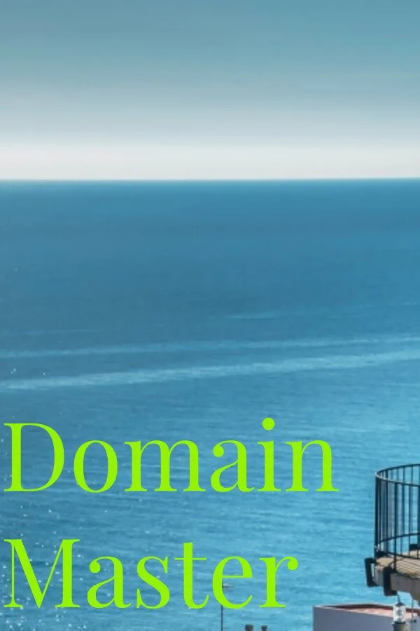 Copertina di Domain Master