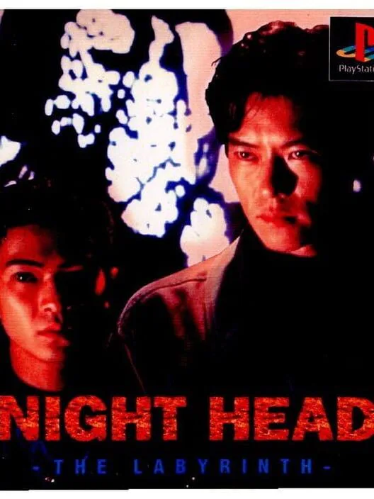 Copertina di Night Head: The Labyrinth