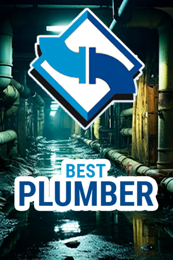 Copertina di Best Plumber