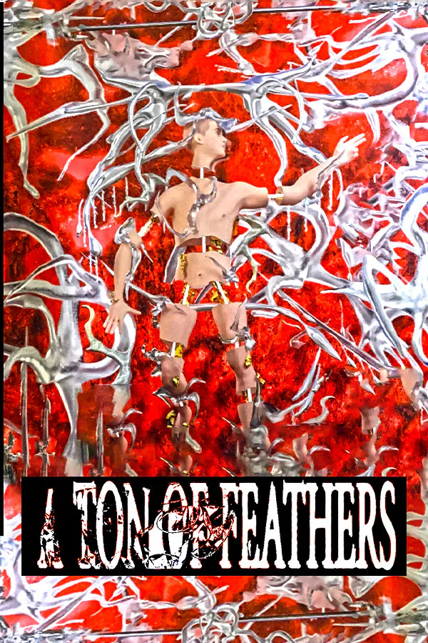 Copertina di A Ton Of Feathers