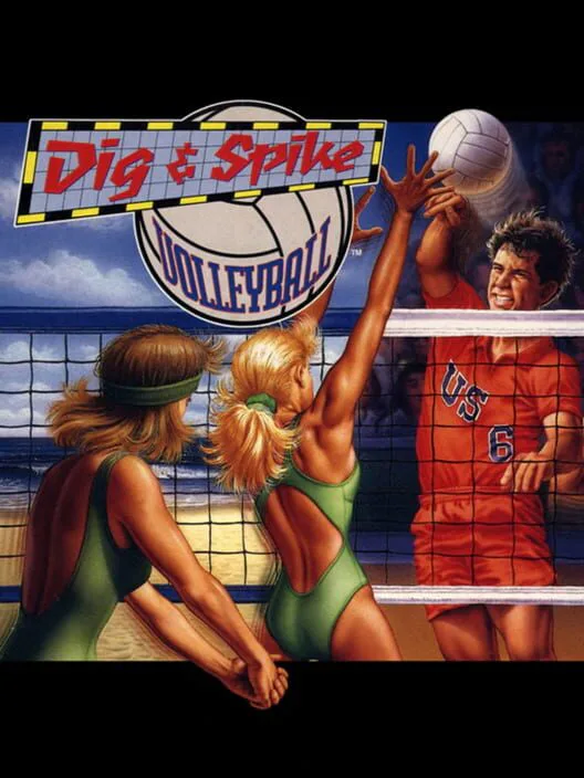 Copertina di Dig & Spike Volleyball
