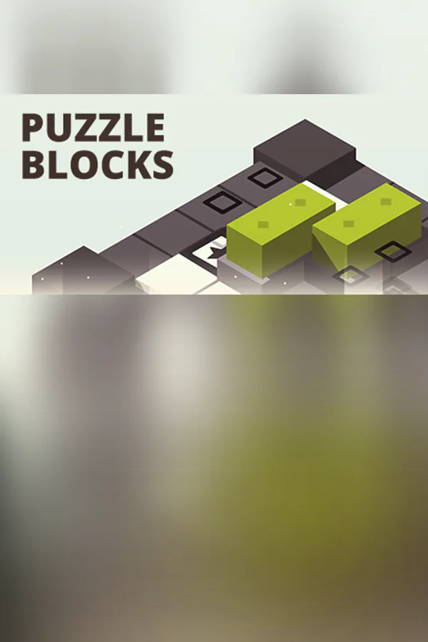 Copertina di Puzzle Blocks