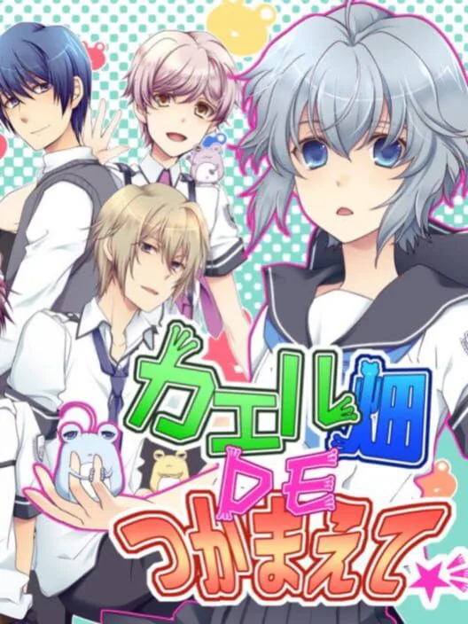 Copertina di Kaeru Batake DE Tsukamaete