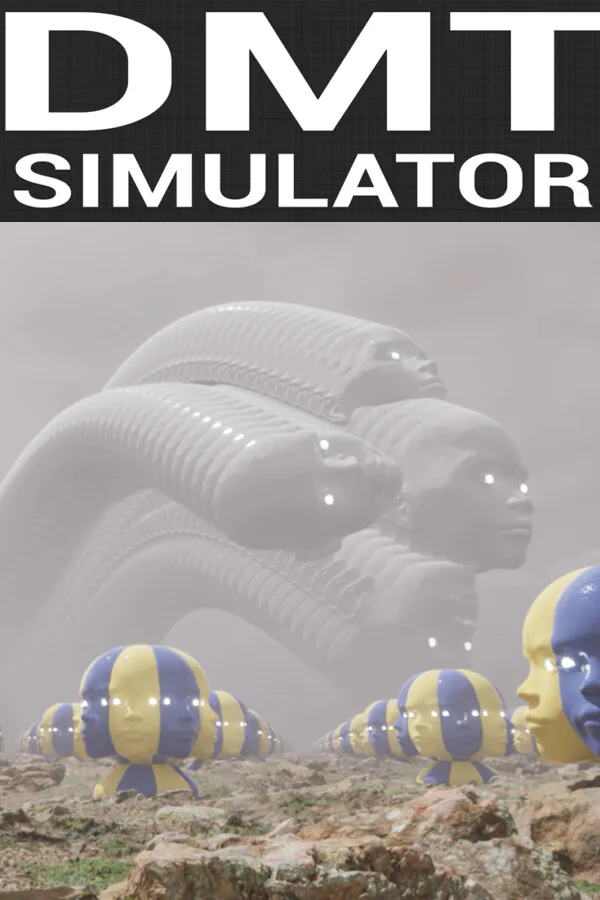 Copertina di DMT Simulator