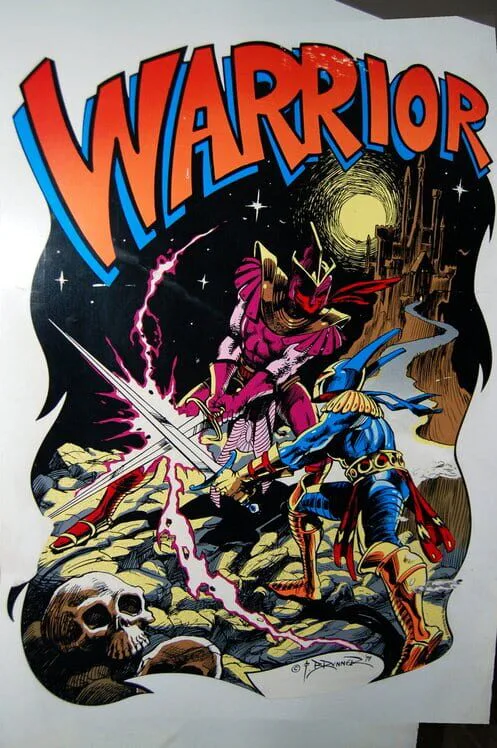 Copertina di Warrior