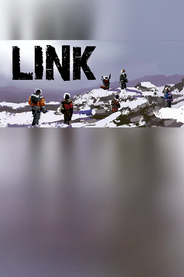 Copertina di Link