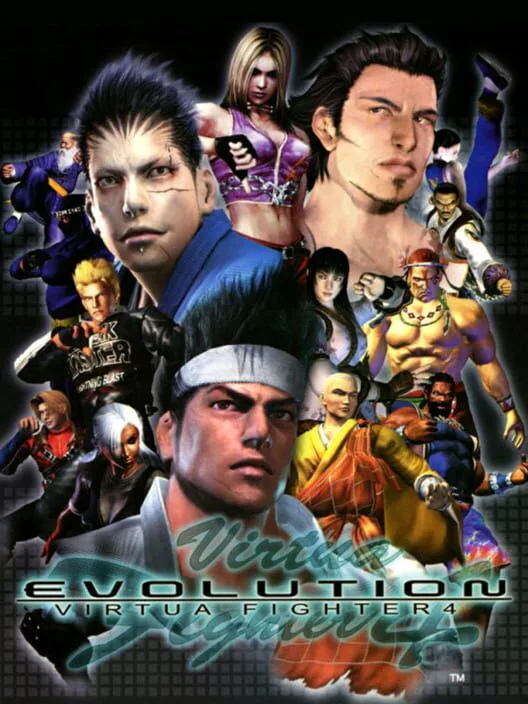 Copertina di Virtua Fighter 4: Evolution