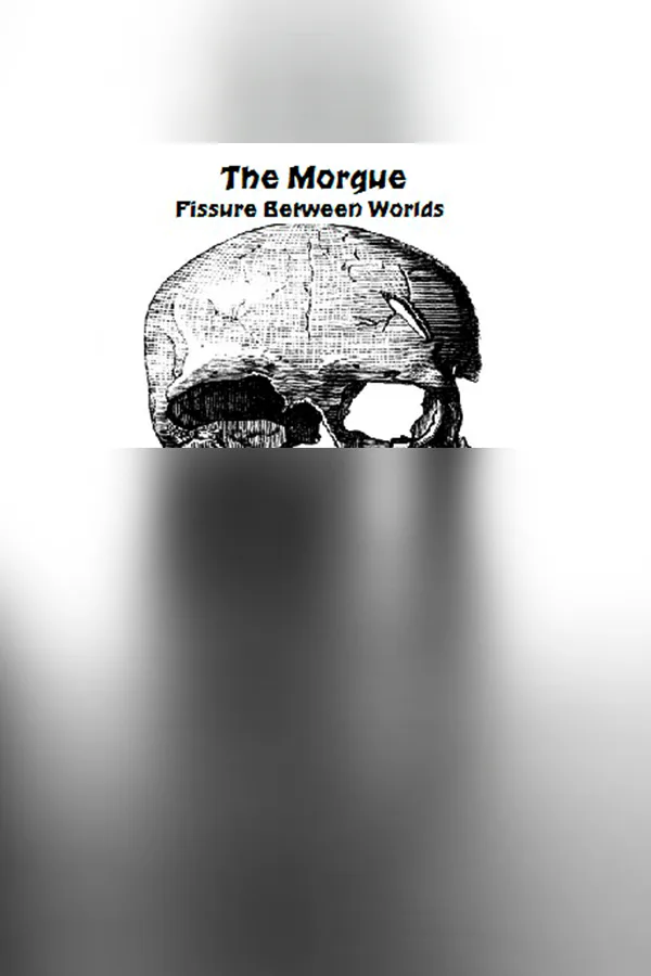 Copertina di The Morgue Fissure Between Worlds