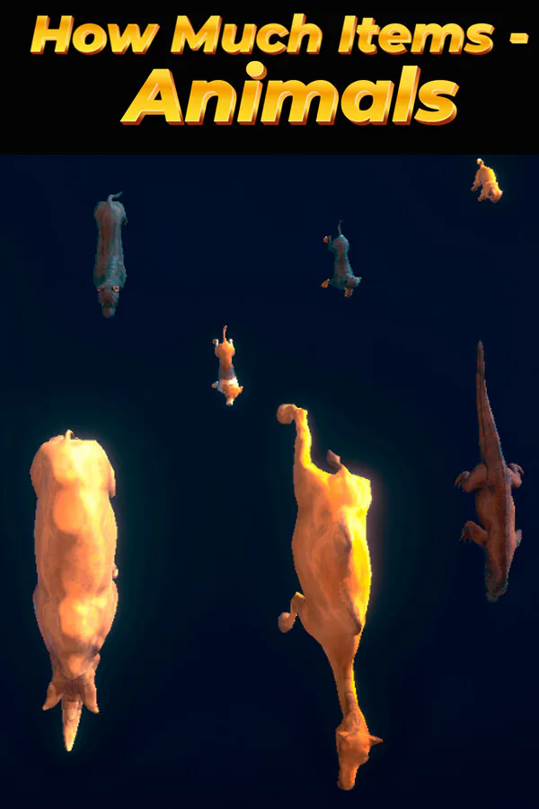 Copertina di How Much Items - Animals