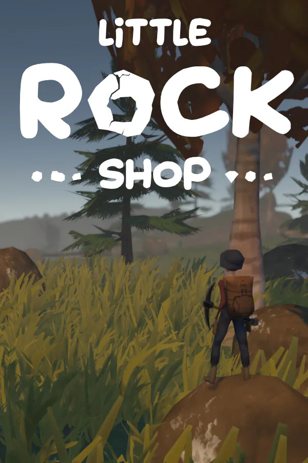 Copertina di Little Rock Shop