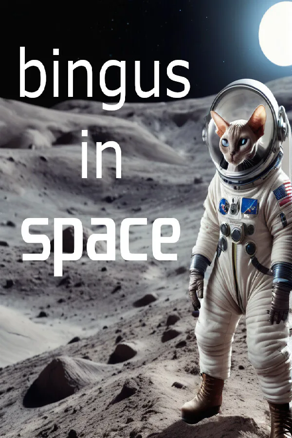 Copertina di Bingus In Space