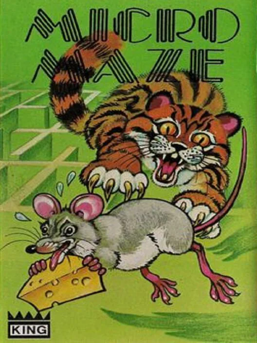 Copertina di Micro Maze