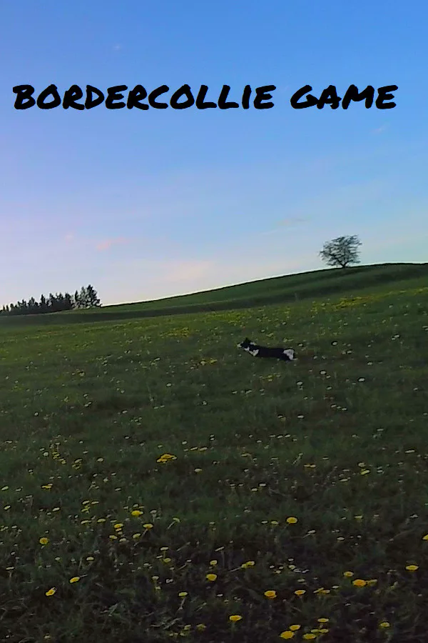 Copertina di BorderCollie Game
