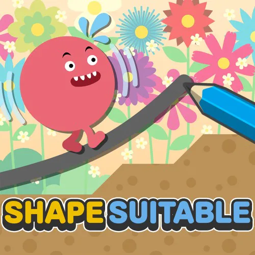Copertina di SHAPE SUITABLE