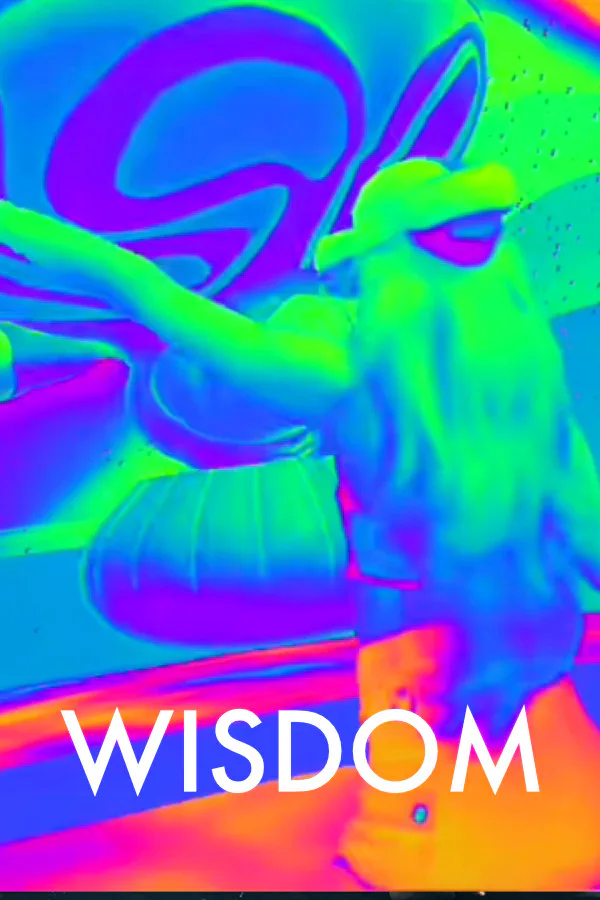 Copertina di Wisdom