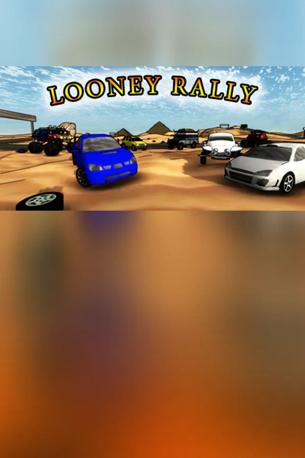 Copertina di Looney Rally