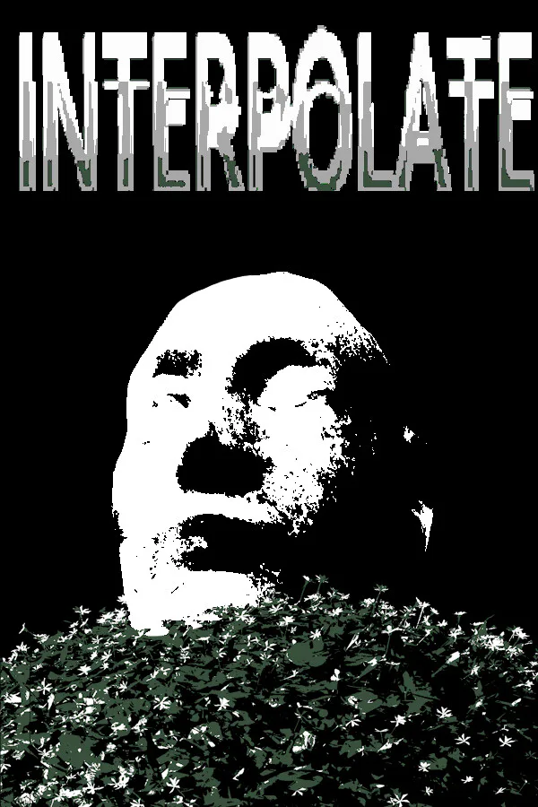 Copertina di Interpolate