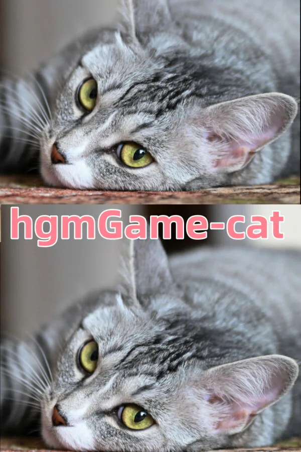 Copertina di hgmGame-cat