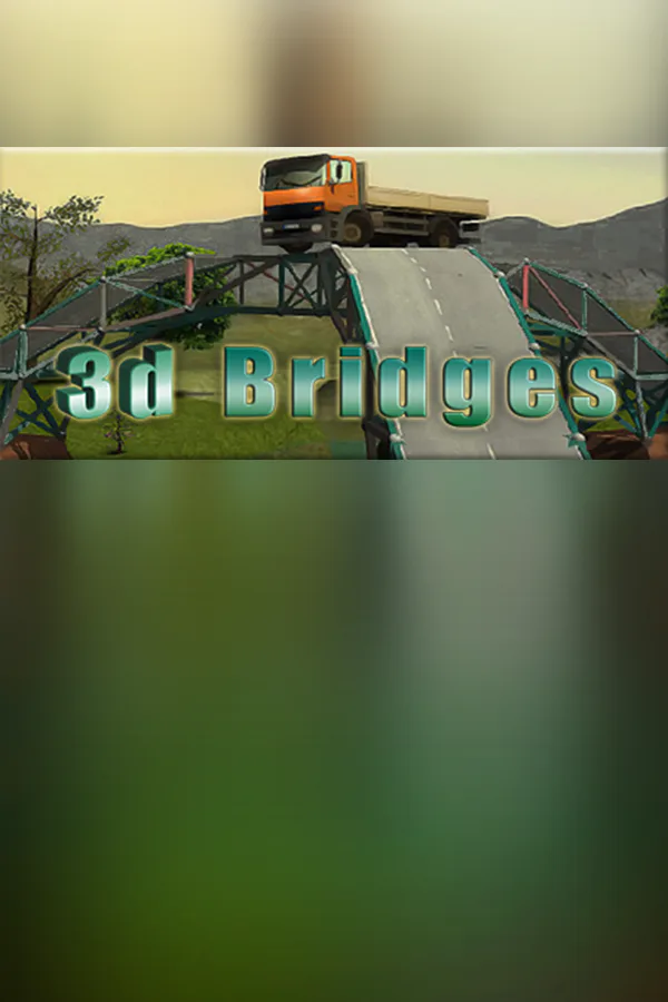 Copertina di 3d Bridges