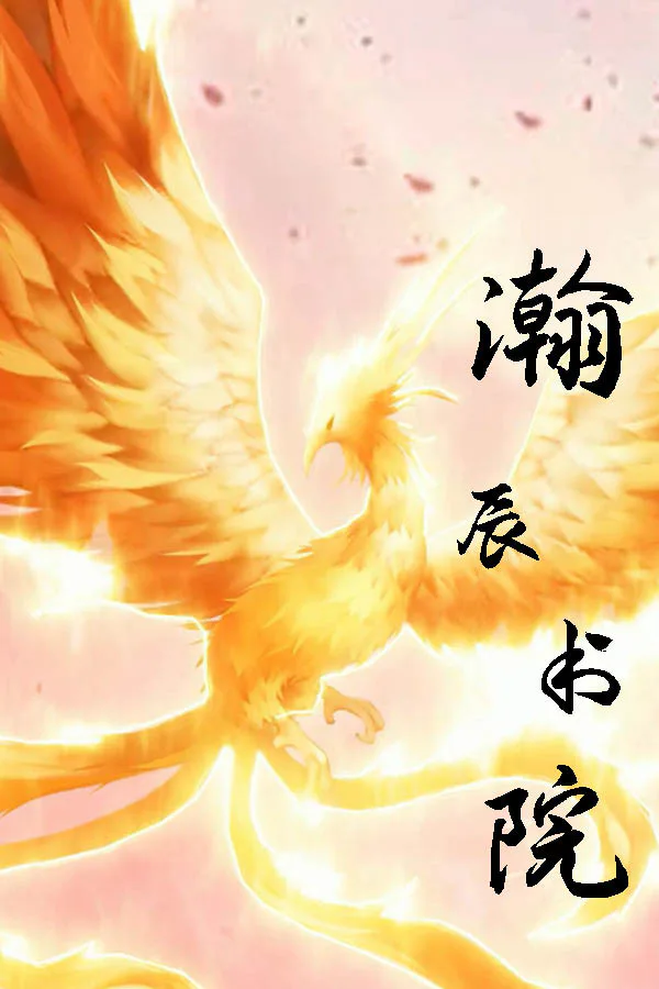 Copertina di 瀚辰书院