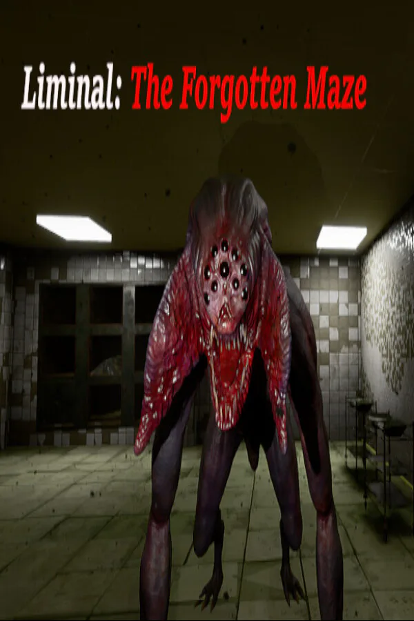 Copertina di Liminal:The Forgotten Maze