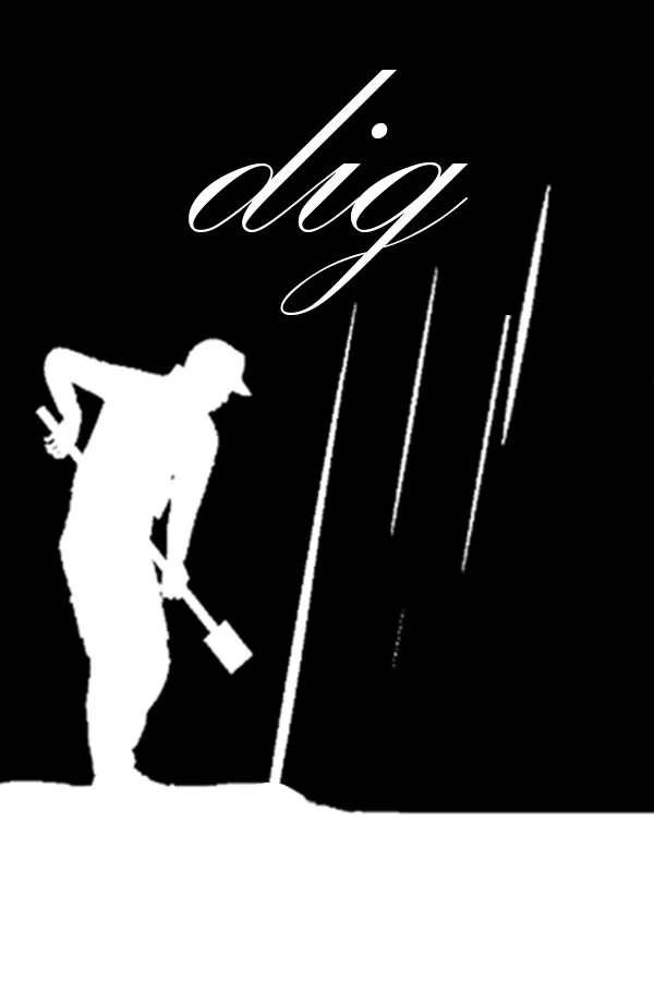 Copertina di dig
