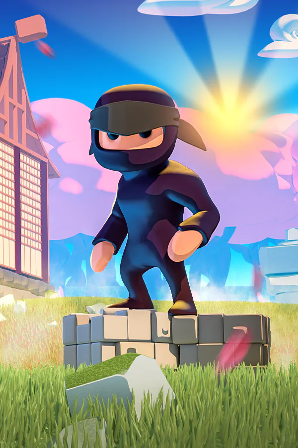 Copertina di Mad Dojo
