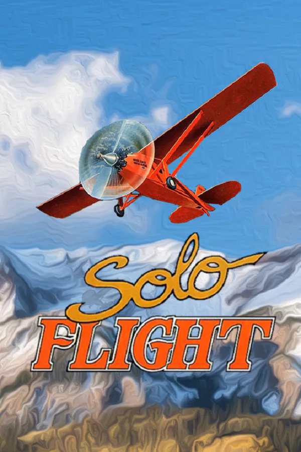 Copertina di Solo Flight