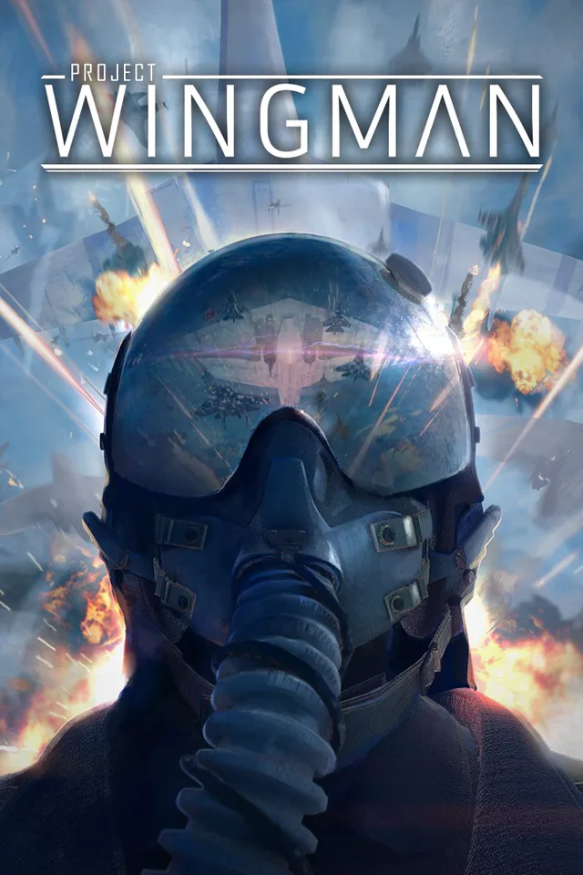 Copertina di Project Wingman