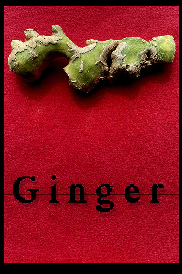 Copertina di Ginger