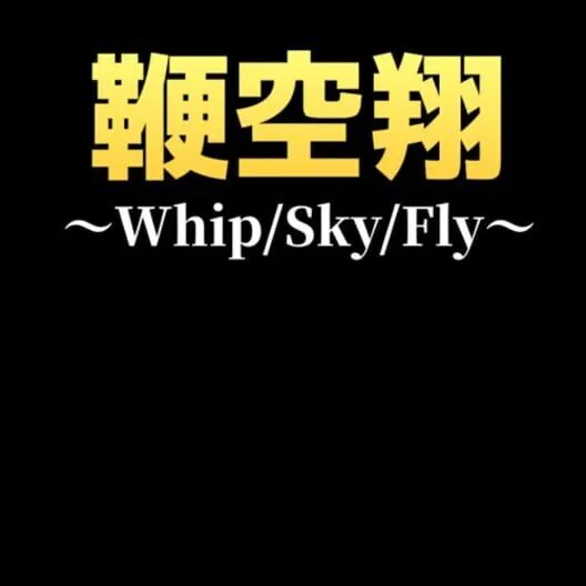 Copertina di Whip/Sky/Fly