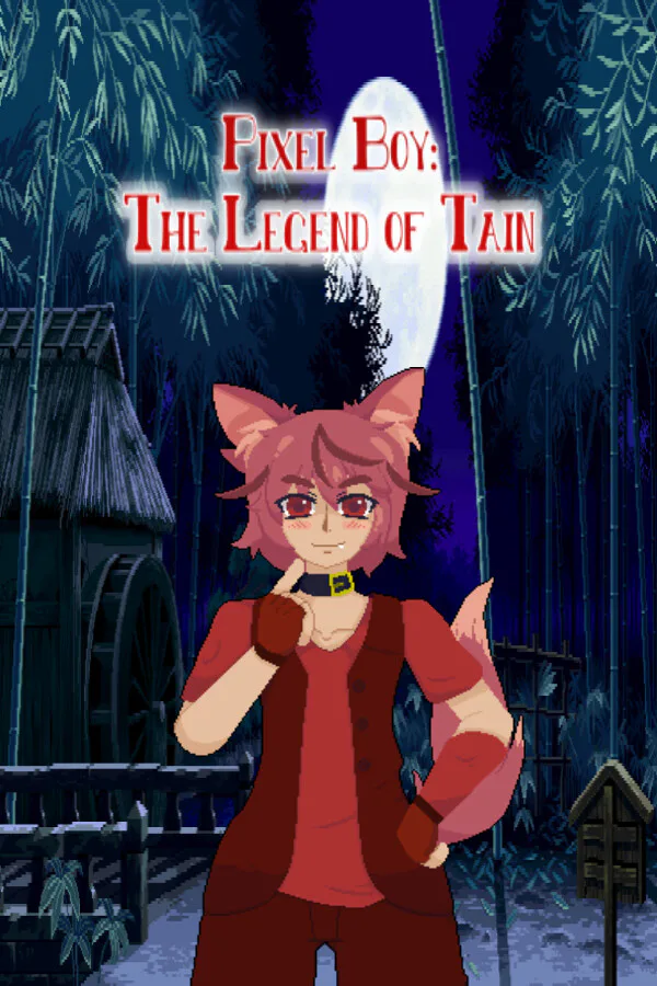 Copertina di Pixel Boy: The Legend of Tain