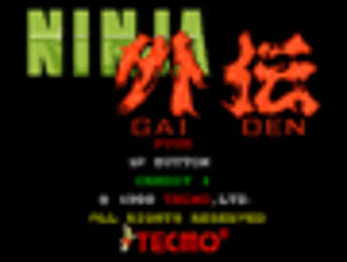 Copertina di NINJA GAIDEN™