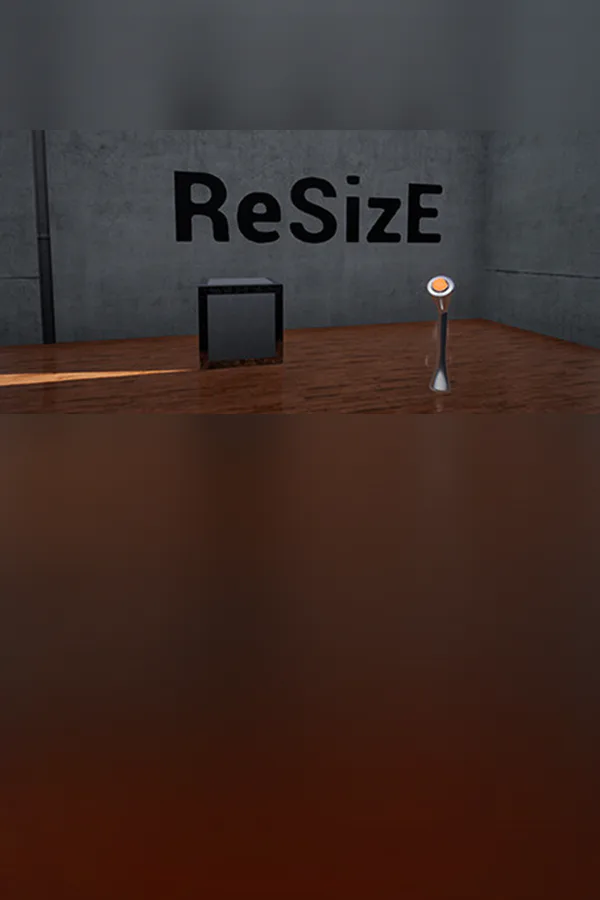 Copertina di ReSizE