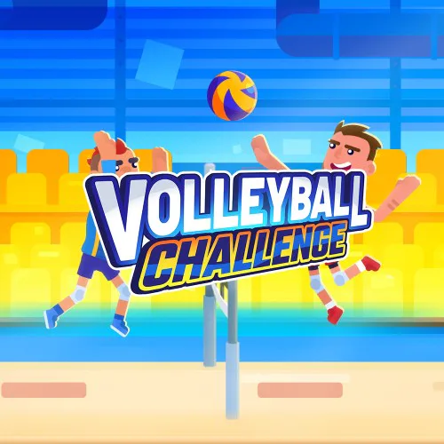 Copertina di Volleyball Challenge