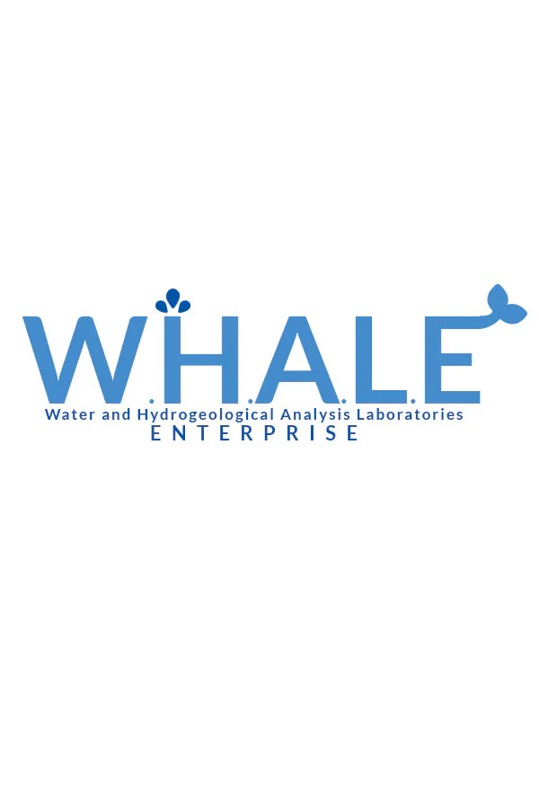 Copertina di W.H.A.L.E.