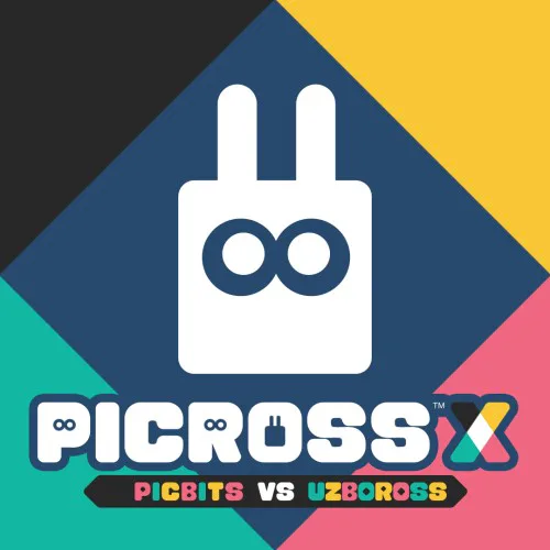 Copertina di PICROSS X : PICBITS VS UZBOROSS