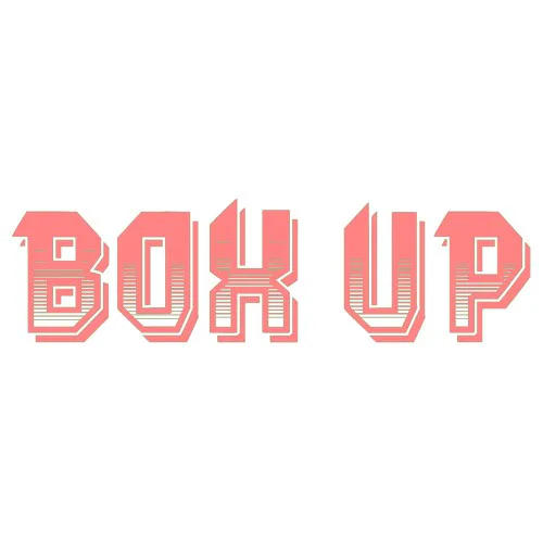 Copertina di BOX UP