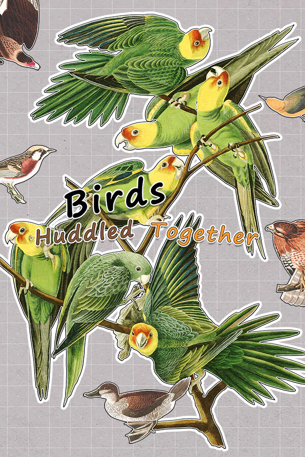 Copertina di Birds Huddled Together