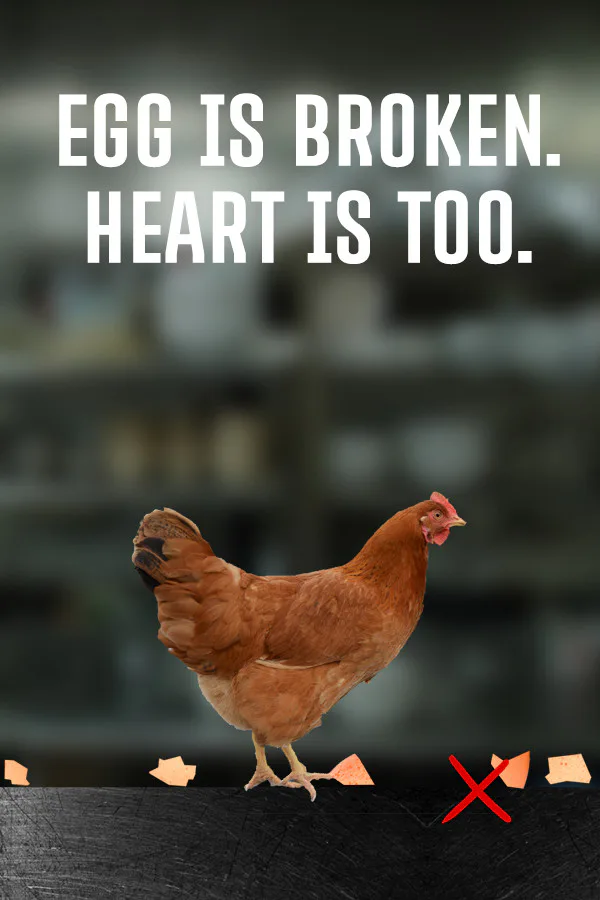 Copertina di egg is broken. heart is too.