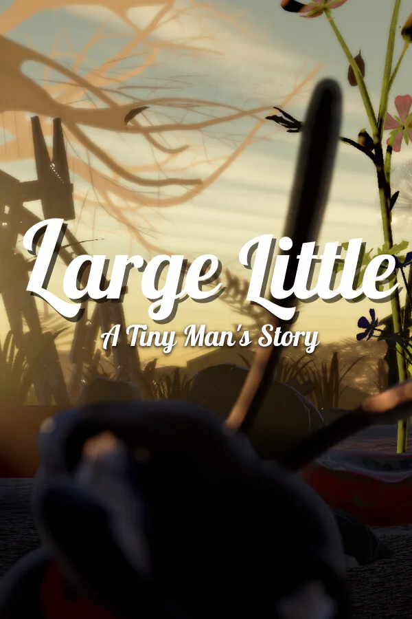 Copertina di LARGE Little : A Tiny Man's Story
