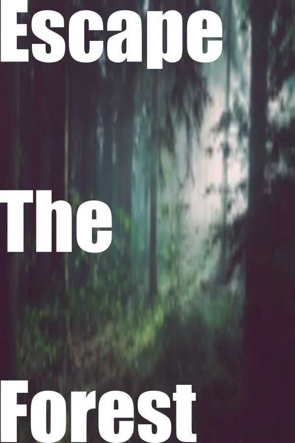 Copertina di Escape The Forest