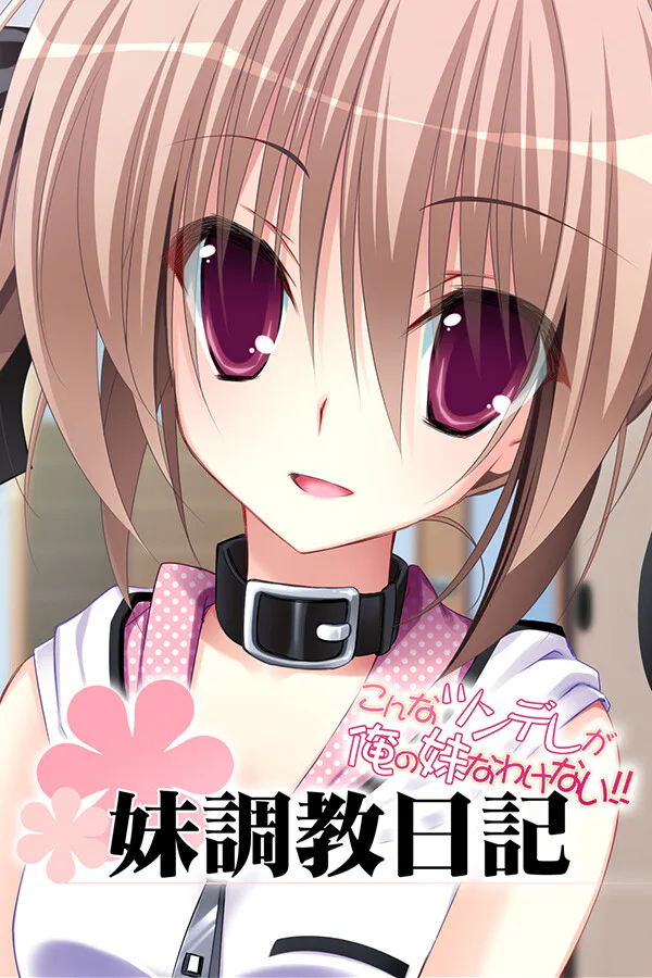Copertina di 妹调教日记