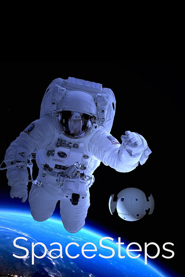 Copertina di SpaceSteps