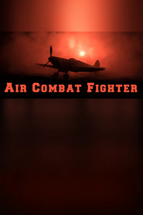 Copertina di Air Combat Fighter