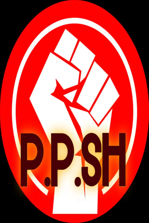 Copertina di P.P.SH